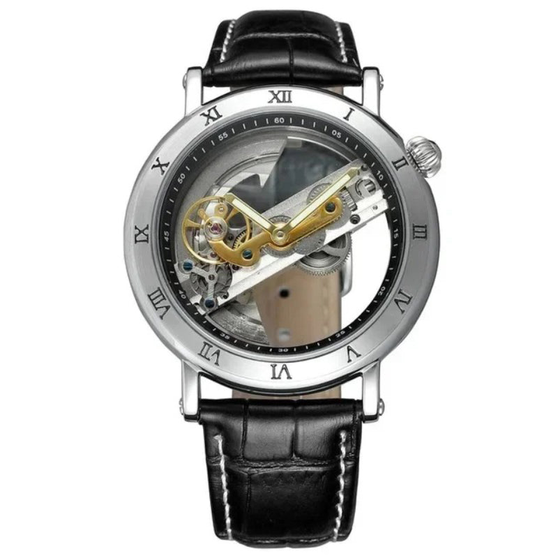 Astonishing Transparent Roman Numeral Skeleton Dial Automatic Mechanical Watch