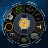 Luminous Water-resistant Mechanical Diver Watch