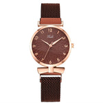 Casual Minimalist Bowknot Case with Stainless Steel Mesh Band Quartz Watches